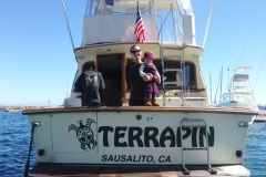 cut-Vinyl-cliff-gallery-terrapin1
